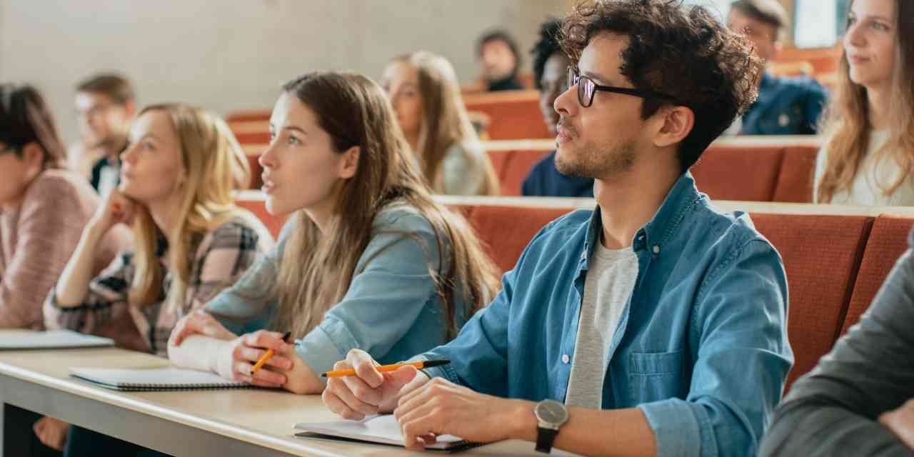 ¿Qué significa «estudios exitosos» al analizar alimentos para mayores de edad?